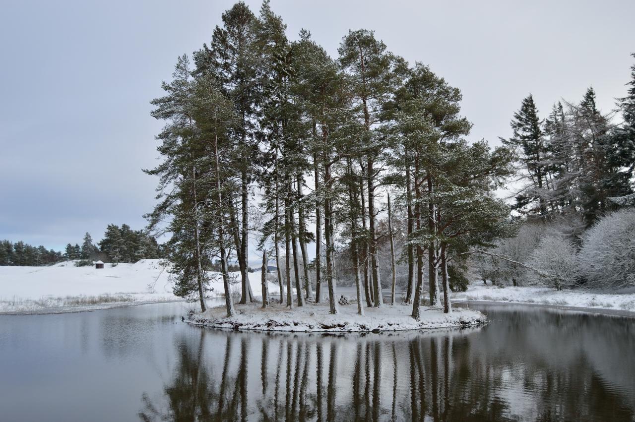 The Pines - Luxury 3-Bed Apartment Near Golf & Spa, Gleneagles, Auchterarder Dış mekan fotoğraf